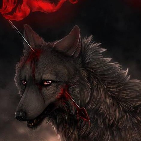 Picsart profile picture for @redflag