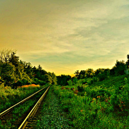 trains tracks photography hdr summer nature